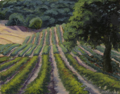 Afternoon on Vineyard Road by Terry Lockman