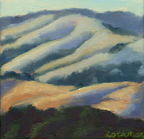 Afternoon Shadows Lucas Valley by Terry Lockman