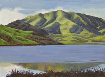 Late Winter Reflections Nicasio by Terry Lockman