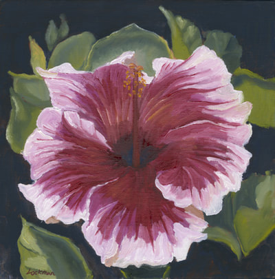 Magenta Hibiscus by Terry Lockman
