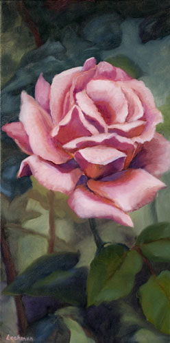 Pink Rose by Terry Lockman
