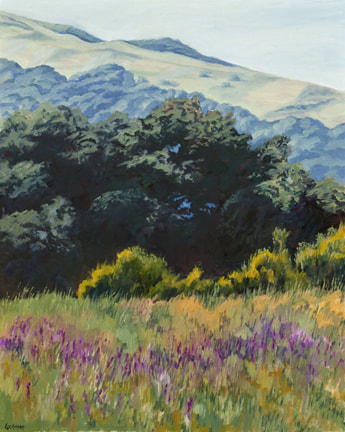 Spring Flowers, Marin Hills by Terry Lockman