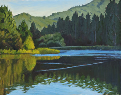 Stillness Lake Lagunitas by Terry Lockman