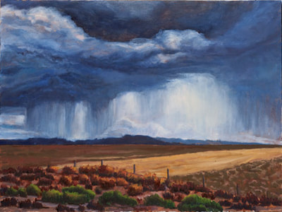 Summer Downpour Utah by Terry Lockman