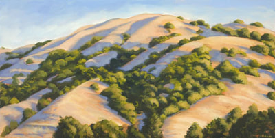 Summer Shadows, Lucas Valley by Terry Lockman