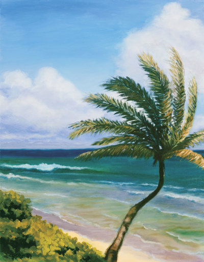 Afternoon Breeze, North Kauai by Terry Lockman