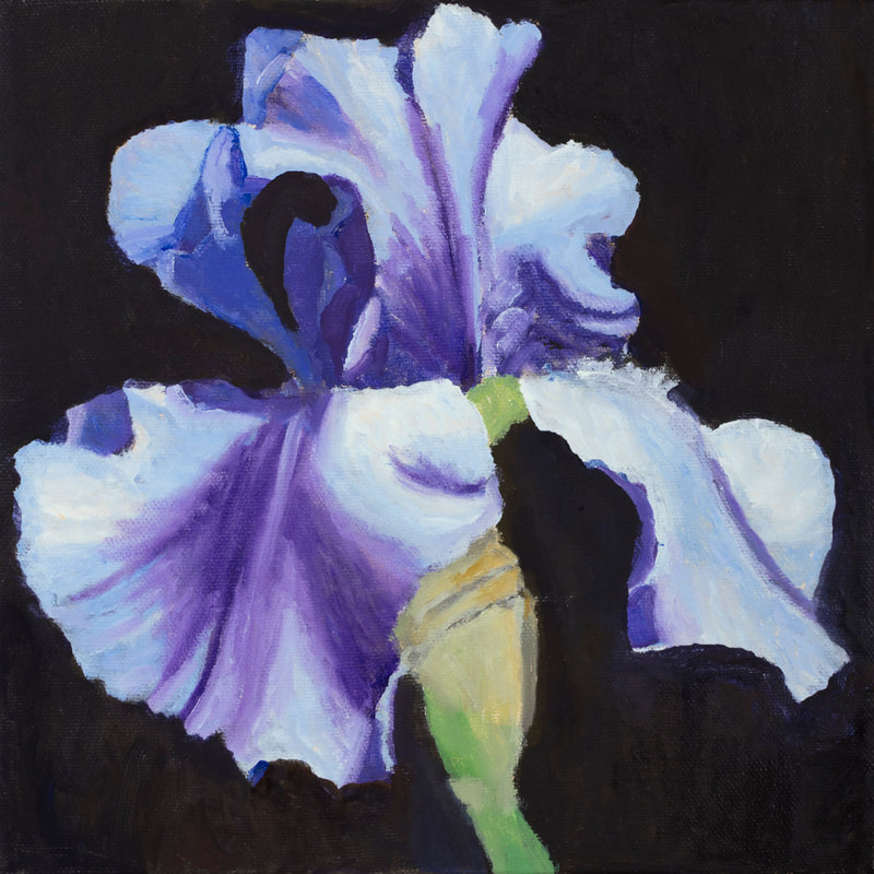 Blue Iris, 10x10, Available
