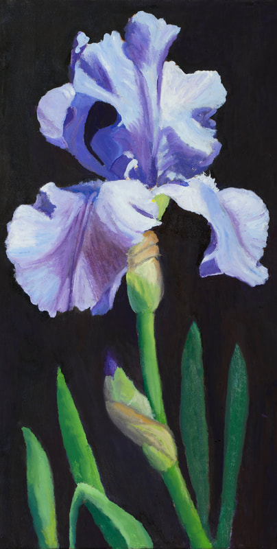 Blue Iris, 10x20, Available