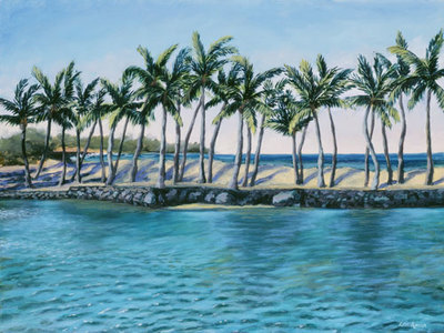 Fishponds at Anaehoomalu Bay by Terry Lockman