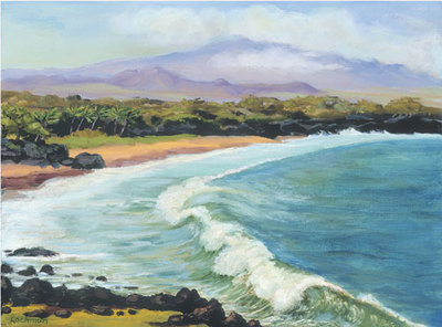 Hapuna Beach by Terry Lockman