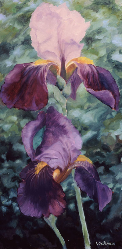 Iris by Terry Lockman