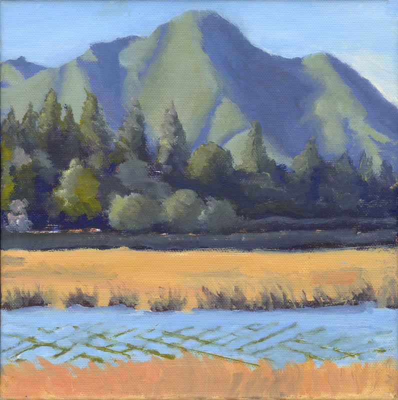 Mt Tam Looking North from Mill Valley, 8x8, Available