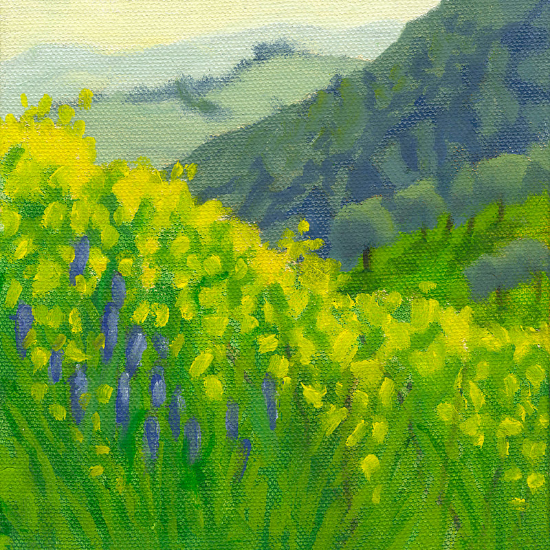 Spring Wildflowers Central California II by Terry Lockman