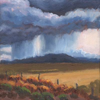 Summer Downpour Utah II by Terry Lockman